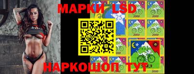 шишки Будённовск