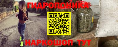 шишки Будённовск