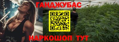 шишки Будённовск