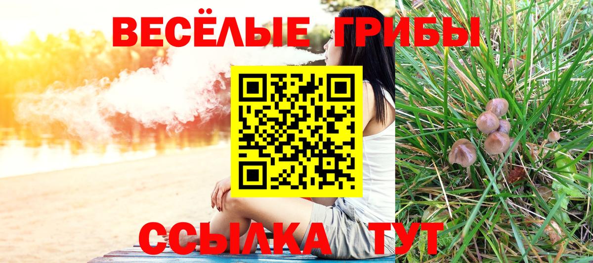 Галлюциногенные грибы Magic Shrooms Энгельс