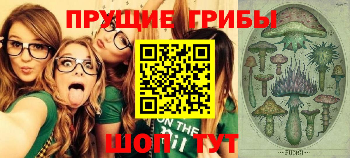 Энгельс  Галлюциногенные грибы MAGIC MUSHROOMS  Вход с VPN  Псилоцибиновые грибы прущие грибы 
