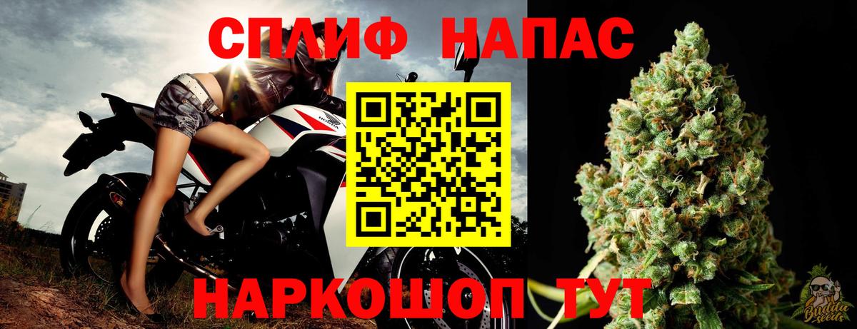 Канабис White Widow  Вход с VPN  Марихуана THC 21%  Бошки Шишки тримм  Шишки марихуана марихуана  Энгельс 